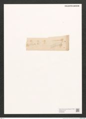 Navicula sp. (de-Toni-Nr.: Genus 1) Zeichnungen Sammlung Grunow (NHMW-BOT-W0368290)